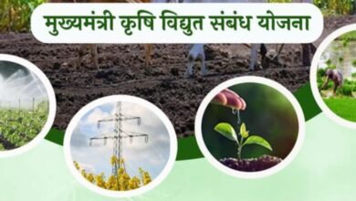 Photo of मुख्यमंत्री कृषि विद्युत संबंध योजना : 2 का शुभारंभ 02 फरवरी से