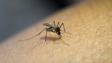 Photo of निजी अस्पतालों को भी मलेरिया समेत 33 रोगों की देनी होगी दैनिक रिपोर्ट