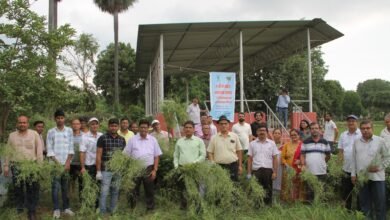 Photo of आईसीएआर पटना में 19 वां गाजरघास जागरूकता सप्ताह का समापन