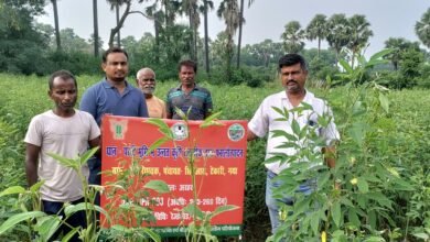 Photo of उन्नत कृषि तकनीक द्वारा धान-परती भूमि प्रबंधन