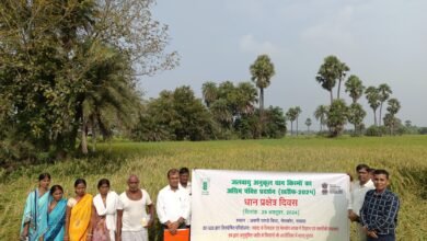 Photo of धान प्रक्षेत्र दिवस का किया गया आयोजन