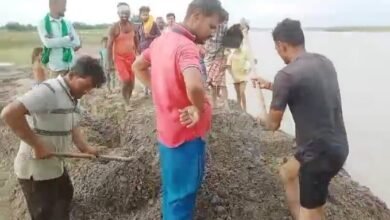 Photo of कोसी नदी बांध पर बना लूप टूटा, कई गांव के खेतों में घुसा पानी
