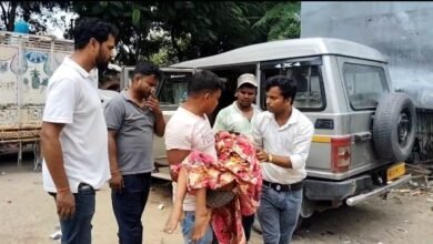Photo of आंगन में खेल रहे बच्चे को डंसा सर्प, हुई मौत, परिवार में कोहराम